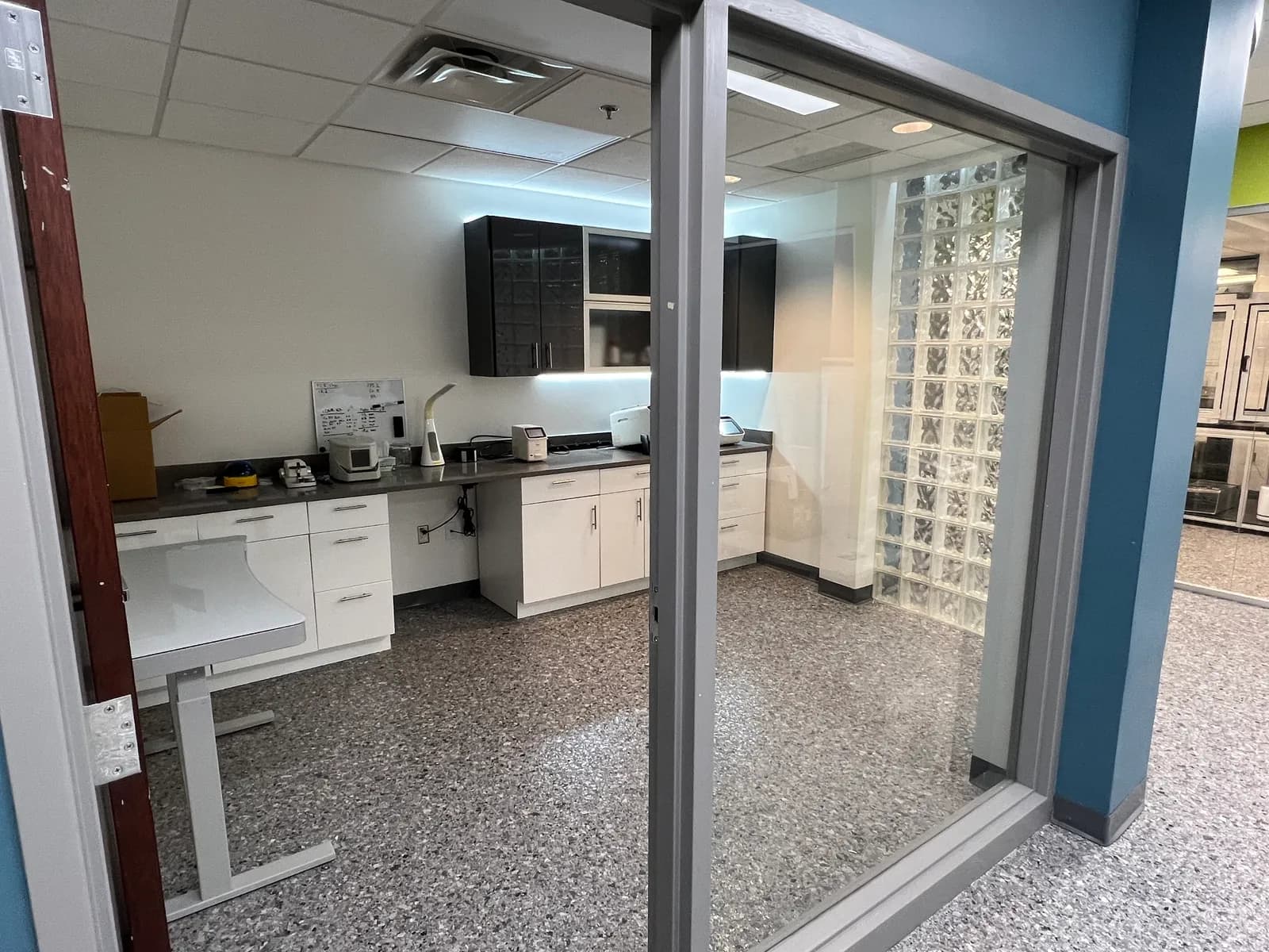 ARE Labs PCR and ELISA laboratory with bench instruments visible through glass